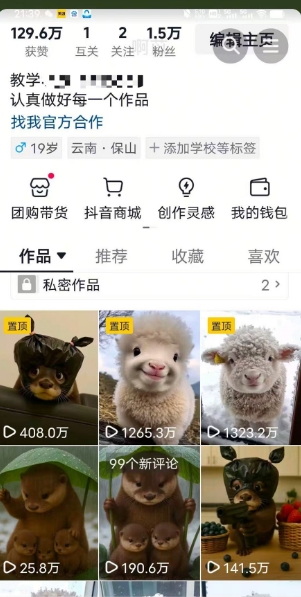 图片[2]网创吧-网创项目资源站-副业项目-创业项目-搞钱项目抖音65W博主AI萌宠课程，新赛道流量大，原创+二创，全套课程+提示词网创吧-网创项目资源站-副业项目-创业项目-搞钱项目网创吧