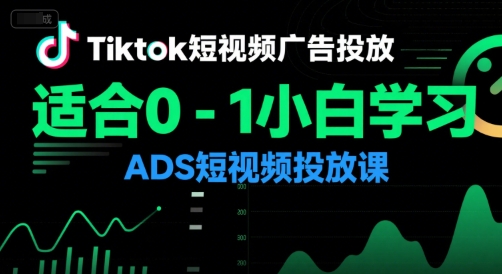 Tiktok短视频广告投放，适合0-1小白学习ADS短视频投放课网创吧-网创项目资源站-副业项目-创业项目-搞钱项目网创吧