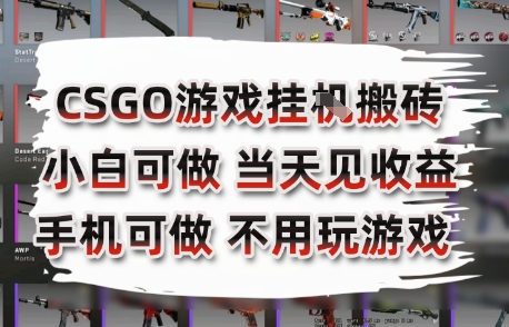CSGO游戏挂G搬砖，小白纯手机即可操作，不用电脑打游戏，日入3张+，副业网创项目【揭秘】网创吧-网创项目资源站-副业项目-创业项目-搞钱项目网创吧
