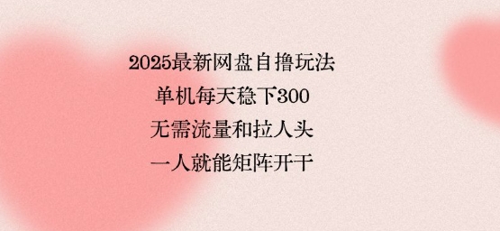 2025最新网盘自撸玩法，单机每天稳下3张，无需流量和拉人头，一个人就可轻松矩阵，全网独一份【揭秘】网创吧-网创项目资源站-副业项目-创业项目-搞钱项目网创吧