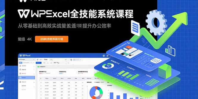 （15873期）WPS Excel全技能系统课程：从零基础到高阶实战全覆盖，全面提升办公效率网创吧-网创项目资源站-副业项目-创业项目-搞钱项目网创吧