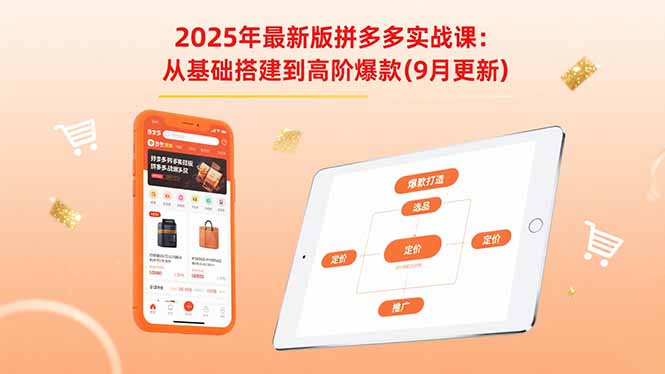 (15899期)2025年最新版拼多多实战课:从基础搭建到高阶爆款(9月更新)网创吧-网创项目资源站-副业项目-创业项目-搞钱项目网创吧