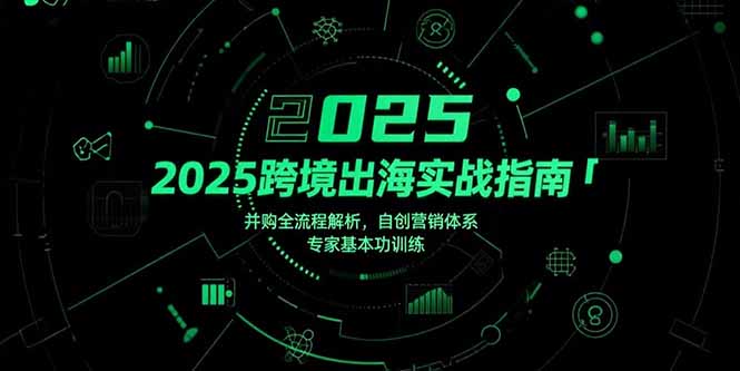 （15503期）2025跨境出海实战指南，并购全流程解析，自创营销体系，专家基本功训练网创吧-网创项目资源站-副业项目-创业项目-搞钱项目网创吧