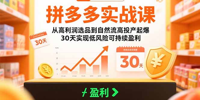 （15586期）拼多多实战课：从高利润选品到自然流高投产起爆 30天实现低风险可持续盈利网创吧-网创项目资源站-副业项目-创业项目-搞钱项目网创吧