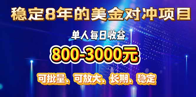 (15782期)稳定8年的美金对冲创业项目,单人每日收益800-3000,小众暴力项目网创吧-网创项目资源站-副业项目-创业项目-搞钱项目网创吧
