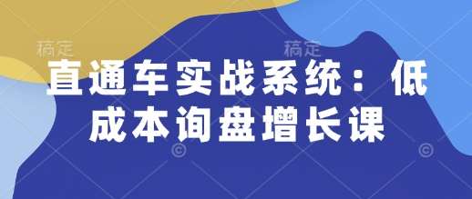 直通车实战系统：低成本询盘增长课，让个人通过技能实现升职加薪，让企业低成本获客，订单源源不断网创吧-网创项目资源站-副业项目-创业项目-搞钱项目网创吧