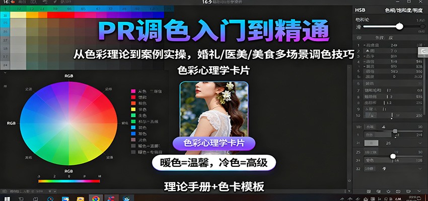 PR调色入门到精通：从色彩理论到案例实操，婚礼/医美/美食多场景调色技巧网创吧-网创项目资源站-副业项目-创业项目-搞钱项目网创吧
