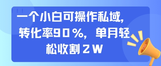 一个小白可操作私域，转化率90%，单月轻松收割2W网创吧-网创项目资源站-副业项目-创业项目-搞钱项目网创吧