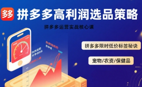 拼多多选品暴利技术实战课，拼多多高利润选品策略，拼多多限时低价标签秘诀网创吧-网创项目资源站-副业项目-创业项目-搞钱项目网创吧