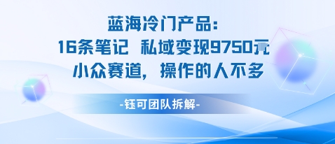 蓝海项目:16条笔记私域变现9750米小众赛道操作的人不多网创吧-网创项目资源站-副业项目-创业项目-搞钱项目网创吧