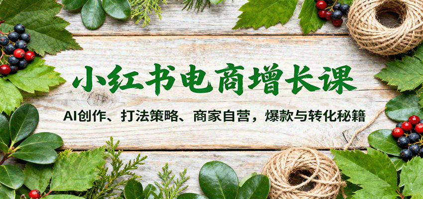小红书电商增长课：AI创作、打法策略、商家自营，爆款与转化秘籍网创吧-网创项目资源站-副业项目-创业项目-搞钱项目网创吧