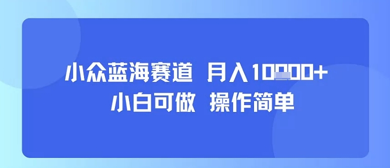 小众蓝海赛道，小白可做，操作简单，每天30分钟，月入1W+网创吧-网创项目资源站-副业项目-创业项目-搞钱项目网创吧