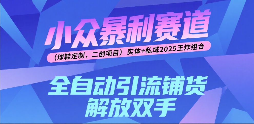 楠—小众暴利赛道(球鞋定制,二创项目)实体+私域2025王炸组合网创吧-网创项目资源站-副业项目-创业项目-搞钱项目网创吧
