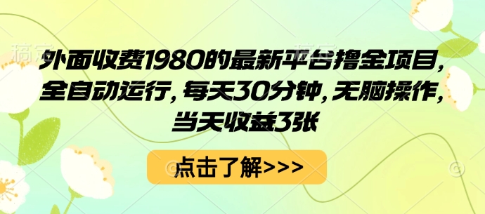 外面收费1980的最新平台撸金项目,全自动运行,每天30分钟,无脑操作,当天收益3张【揭秘】网创吧-网创项目资源站-副业项目-创业项目-搞钱项目网创吧