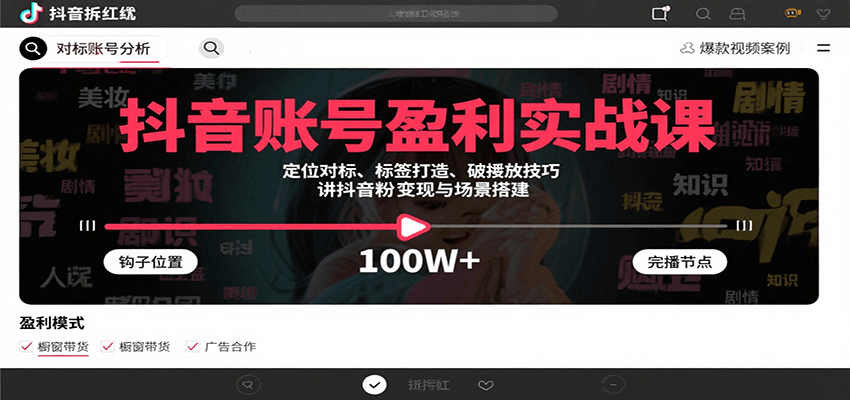 抖音账号盈利实战课,定位对标、标签打造、破播放技巧,讲涨粉变现与场景搭建网创吧-网创项目资源站-副业项目-创业项目-搞钱项目网创吧