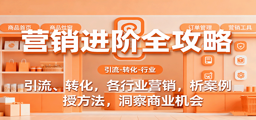 营销进阶全攻略，引流、转化，各行业营销，析案例，授方法，洞察商业机会网创吧-网创项目资源站-副业项目-创业项目-搞钱项目网创吧