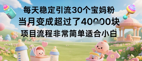 每天稳定引流30个宝妈粉当月变成超过了1W+项目流程非常简单适合小白网创吧-网创项目资源站-副业项目-创业项目-搞钱项目网创吧