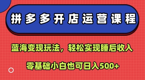 拼多多开店运营课程：蓝海变现玩法，轻松实现睡后收入，零基础小白也可日入5张网创吧-网创项目资源站-副业项目-创业项目-搞钱项目网创吧