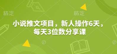 小说推文项目，新人操作6天，每天3位数分享课网创吧-网创项目资源站-副业项目-创业项目-搞钱项目网创吧