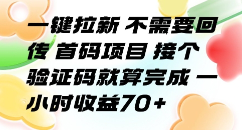 一键拉新 不需要回传 首码项目 接个验证码就算完成 一小时收益70+【揭秘】网创吧-网创项目资源站-副业项目-创业项目-搞钱项目网创吧