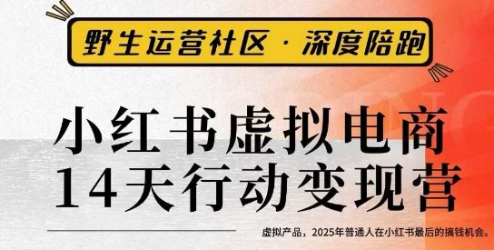 小红书虚拟电商14天变现训练营3.0,虚拟产品,2025年普通人在小红书最后的搞钱机会网创吧-网创项目资源站-副业项目-创业项目-搞钱项目网创吧