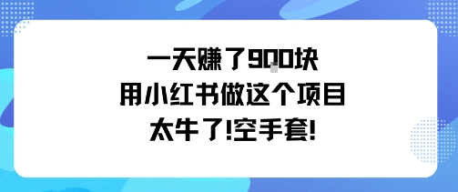 一天挣了9张用小红书做这个项目太牛了,空手套网创吧-网创项目资源站-副业项目-创业项目-搞钱项目网创吧