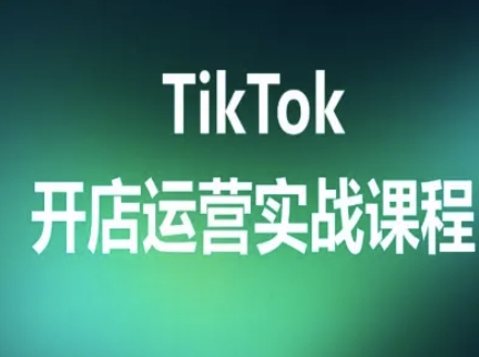 TikTok开店运营实战课程,TK跨境电商实操全流程网创吧-网创项目资源站-副业项目-创业项目-搞钱项目网创吧