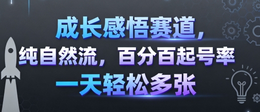 成长感悟赛道,纯自然流,百分百起号率 一天轻松多张网创吧-网创项目资源站-副业项目-创业项目-搞钱项目网创吧
