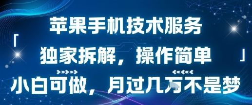 苹果手机技术服务,独家拆解,操作简单,小白可做,月过1W不是梦网创吧-网创项目资源站-副业项目-创业项目-搞钱项目网创吧