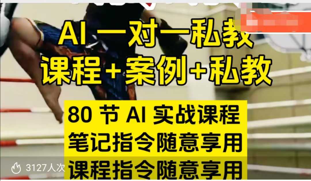 AI指令实战课，课程+案例，80节AI实战课程，笔记指令随意享用，课程指令随意享用（更新7月）网创吧-网创项目资源站-副业项目-创业项目-搞钱项目网创吧