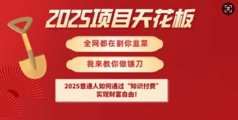 2025项目天花板普通人如何通过知识付费,实现财F自由【揭秘】网创吧-网创项目资源站-副业项目-创业项目-搞钱项目网创吧