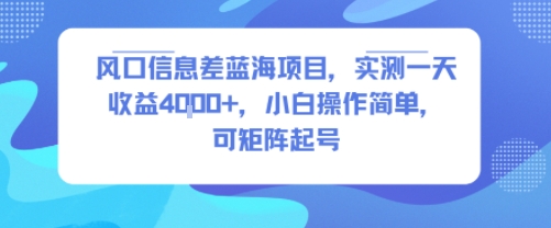 风口信息差蓝海项目，实测一天收益4k+，小白操作简单，可矩阵起号网创吧-网创项目资源站-副业项目-创业项目-搞钱项目网创吧