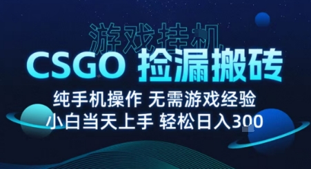 8月最新游戏搬砖，CSGO纯挂G，不需要玩游戏，实现真挂G，月入1W+【揭秘】网创吧-网创项目资源站-副业项目-创业项目-搞钱项目网创吧