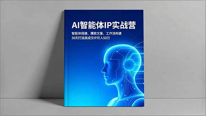 （16689期）AI智能体IP实战营，智能体搭建、爆款文案、工作流构建，30天打造高成交IP月入50万网创吧-网创项目资源站-副业项目-创业项目-搞钱项目网创吧