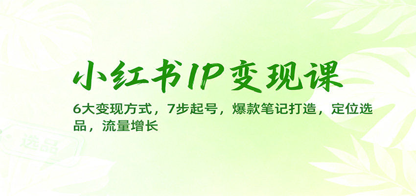 小红书IP变现课：6大变现方式，7步起号，爆款笔记打造，定位选品，流量增长网创吧-网创项目资源站-副业项目-创业项目-搞钱项目网创吧