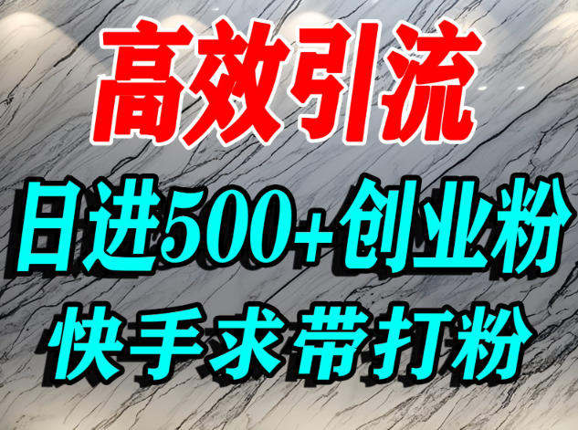 怎么打创业粉？快手求带视角精准引流创业粉，宝妈、学生群体日进500+精准流量网创吧-网创项目资源站-副业项目-创业项目-搞钱项目网创吧