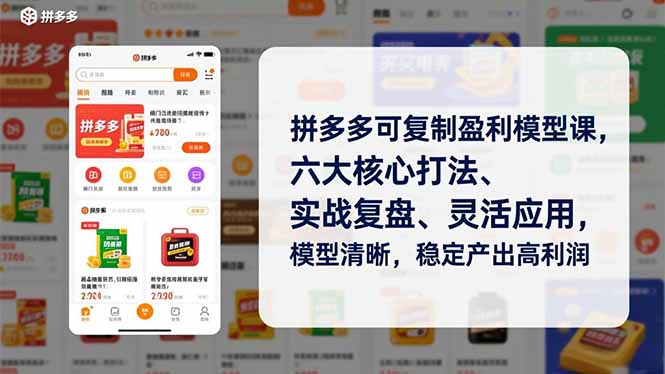 （16952期）拼多多可复制盈利模型课，六大核心打法、实战复盘、灵活应用，模型清晰，稳定产出高利润网创吧-网创项目资源站-副业项目-创业项目-搞钱项目网创吧