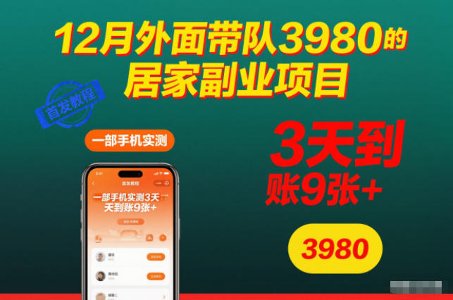 12月外面带队3980的居家副业项目，一部手机实测3天到账9张+，首发教程【揭秘】网创吧-网创项目资源站-副业项目-创业项目-搞钱项目网创吧
