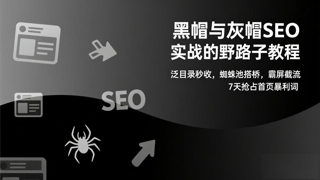 (17125期)黑帽与灰帽SEO实战的野路子教程:泛目录秒收,蜘蛛池搭桥,霸屏截流,7天抢占首页暴利词网创吧-网创项目资源站-副业项目-创业项目-搞钱项目网创吧