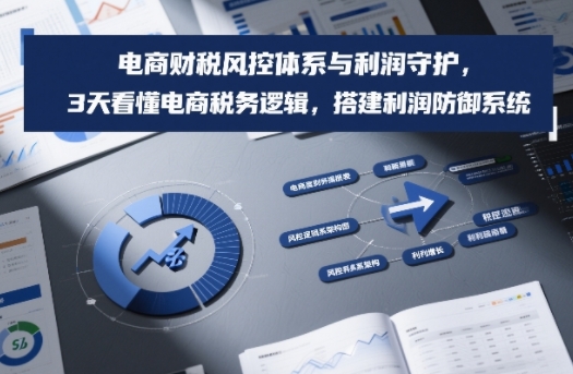 电商财税风控体系与利润守护，3天看懂电商税务逻辑，搭建利润防御系统网创吧-网创项目资源站-副业项目-创业项目-搞钱项目网创吧