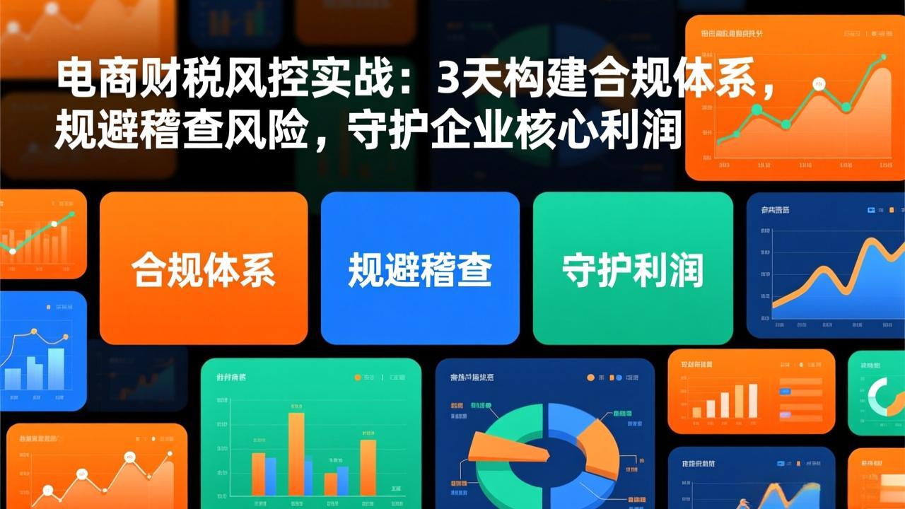 （17197期）电商财税风控实战：3天构建合规体系，规避稽查风险，守护企业核心利润网创吧-网创项目资源站-副业项目-创业项目-搞钱项目网创吧