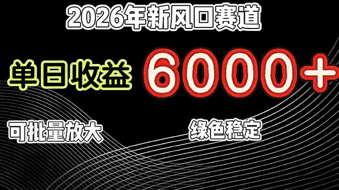 （17135期）2026年新风口赛道，当日6000+以上，可批量放大，月收入20万+，长期绿色稳定的项目网创吧-网创项目资源站-副业项目-创业项目-搞钱项目网创吧
