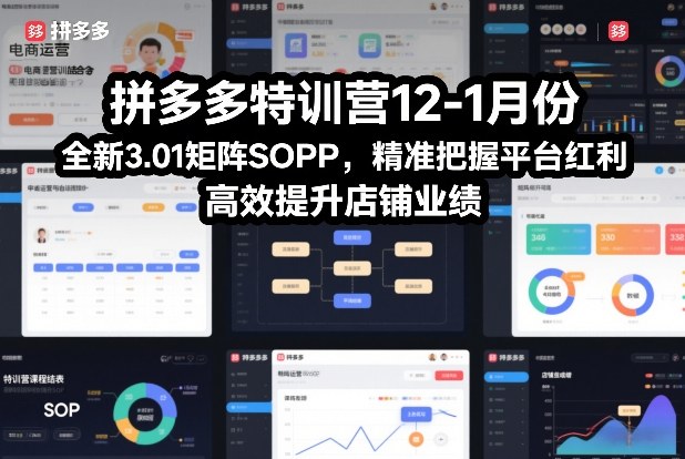 拼多多特训营12-1月份，全新3.01矩阵Sop，精准把握平台红利，高效提升店铺业绩网创吧-网创项目资源站-副业项目-创业项目-搞钱项目网创吧