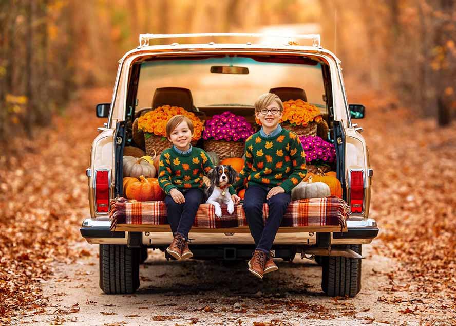 （17403期）大师级GTG出品-老友记系列AI自适应预设The Friends Preset Collection网创吧-网创项目资源站-副业项目-创业项目-搞钱项目网创吧