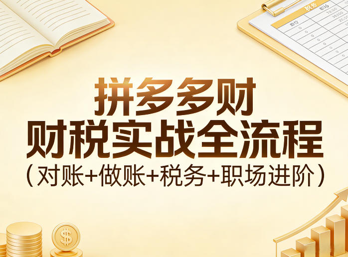 拼多多财税实战全流程(对账+做账+税务+职场进阶)网创吧-网创项目资源站-副业项目-创业项目-搞钱项目网创吧